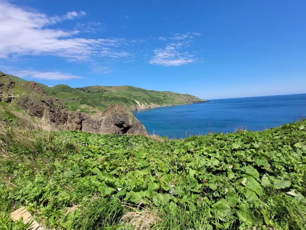 Остров Монерон