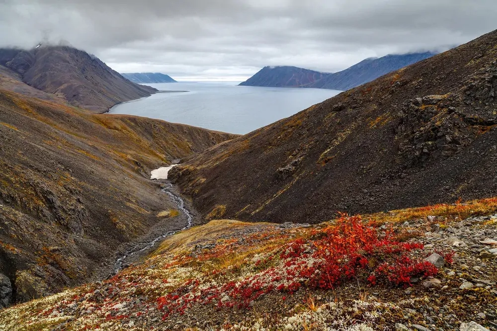 Бухта Провидения