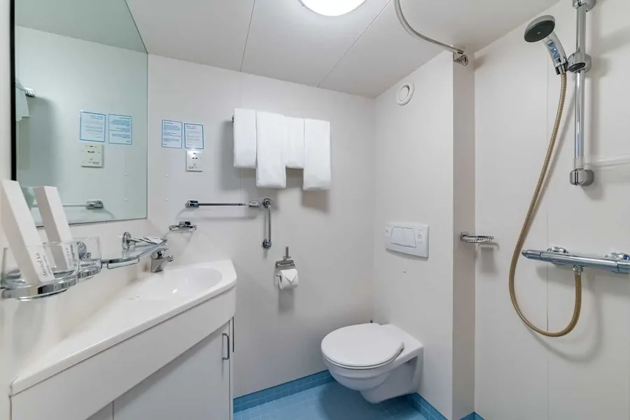 Панорамный люкс +