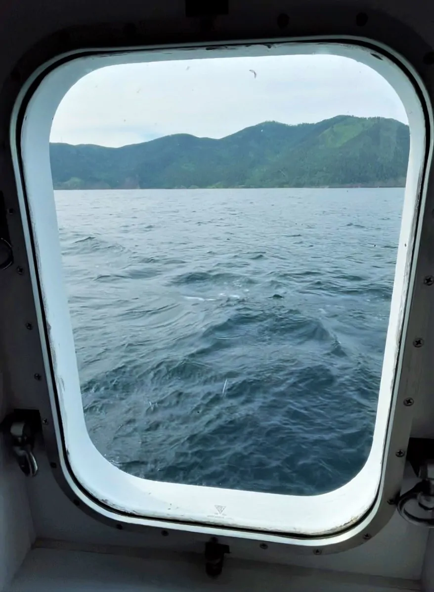 2-местная (нижняя палуба)